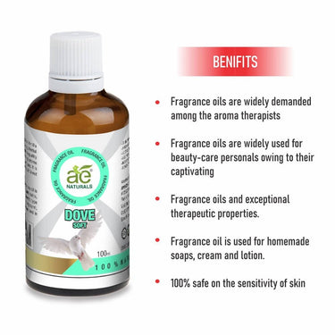https://cdn.shopify.com/s/files/1/1857/6931/files/qICpGdImnI-176125.jpg?v=1736143743